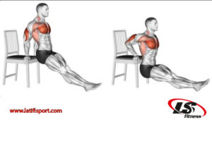 ورزش های لاغری دست و بازو پشت بازو دیپ